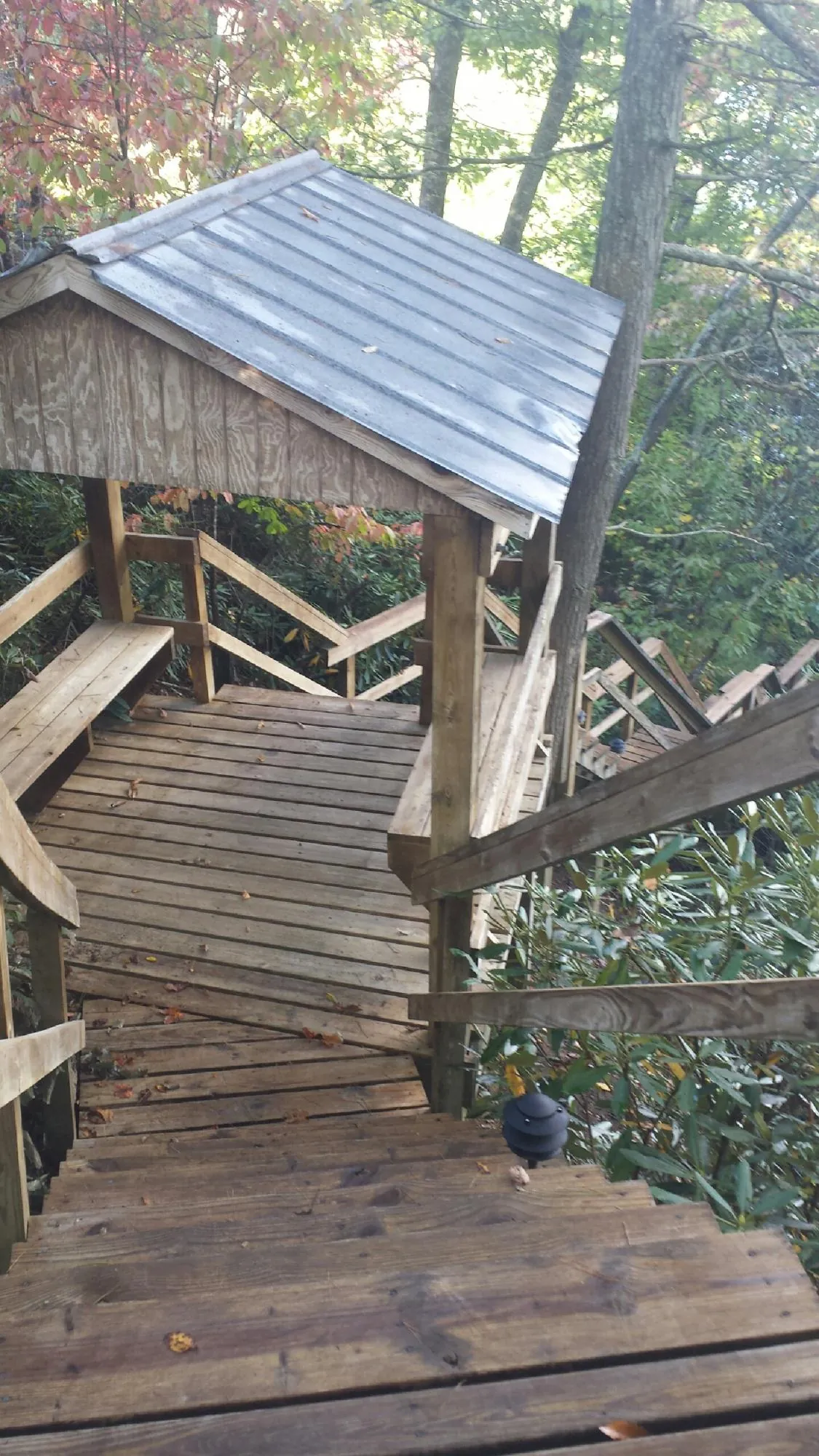 Metal roofed shelter over wooden steps on a wooded walkway — Skylight Repair & Installation work by our crew in Wake Forest